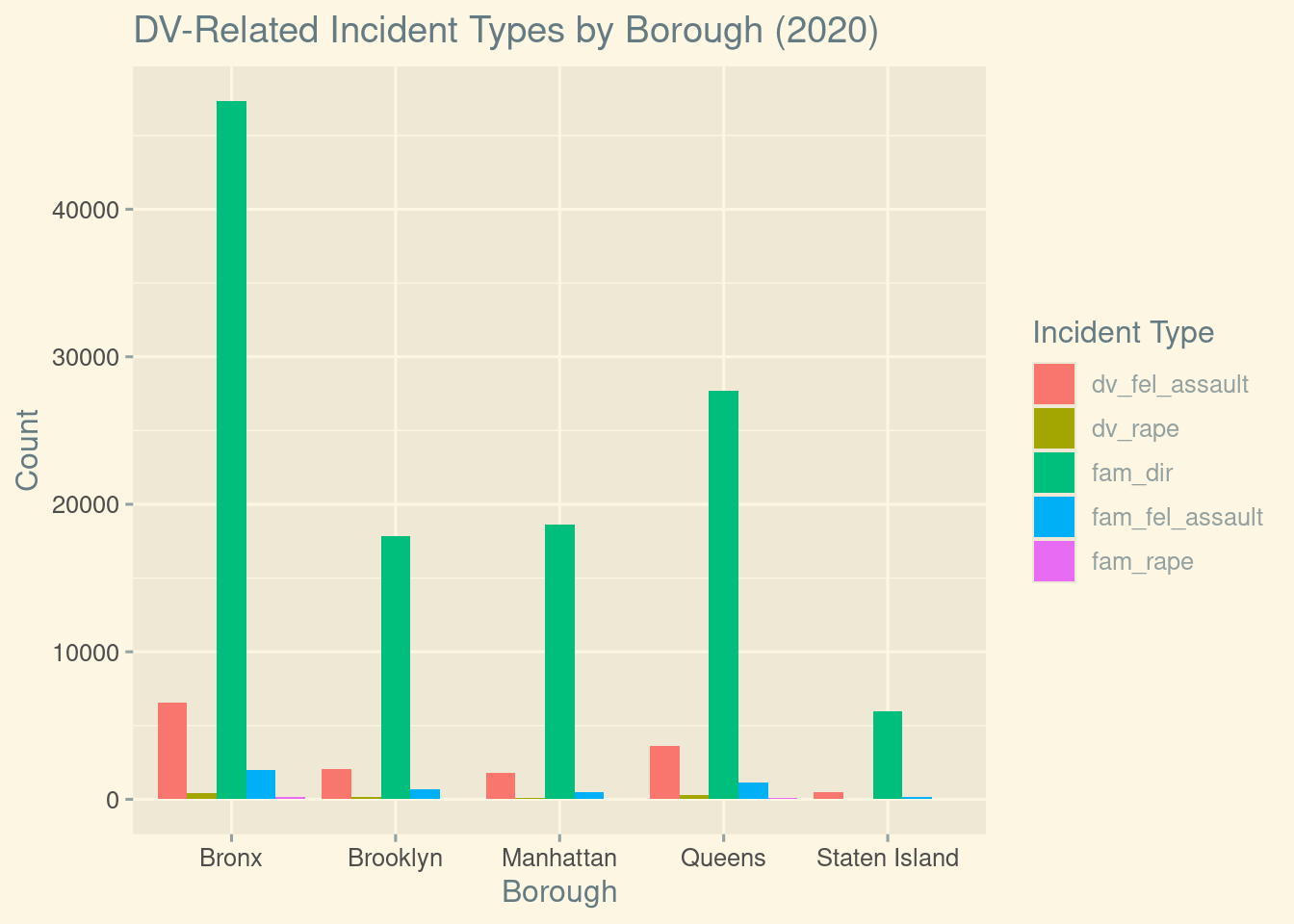 Grouped bar chart displaying counts of different domestic violence–related incident categories by borough. Family domestic incident reports dominate across all boroughs, with the Bronx showing consistently higher counts across most categories.